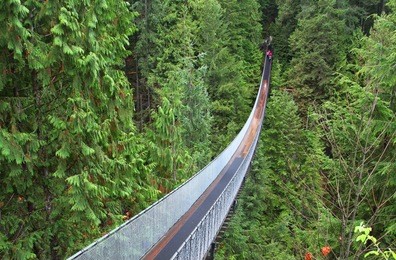 capilano suspension bridge near vancouver in canada