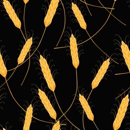 seamless background of ripe spikelets of wheat