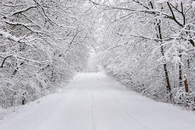 rural michigan countryside road after a snow storm