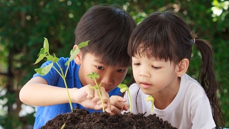 cute asian boys and girls that has a heart to love the world helping each other to plant trees from black soil in order to hope for the world to be green and fresh air to breathe, earth day concept