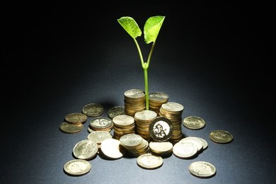 financial investment