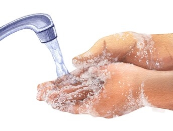 
hand washing with soap. disinfection and cleanliness. protection against viruses and epidemics. hand-drawn watercolor illustration on a white background. for medical instructions.