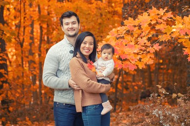 asian chinese mother and caucasian father dad with baby girl in autumn fall park. family together outdoor in nature. seasonal holiday and authentic lifestyle.