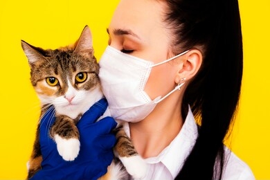 allergy to animals in adults. young woman in a medical mask with a cat. allergy to cats.
