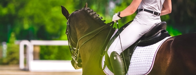 dressage horse and rider in white uniform closeup. horizontal banner for website header design. equestrian sport competition, copy space.