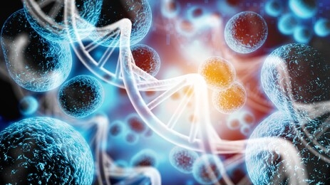 human system cells molecular structure illustration