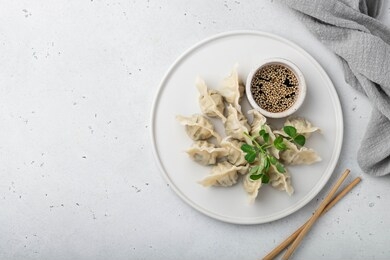 korean dumplings with soy sauce on a white background , asian food. top view, place for your text.