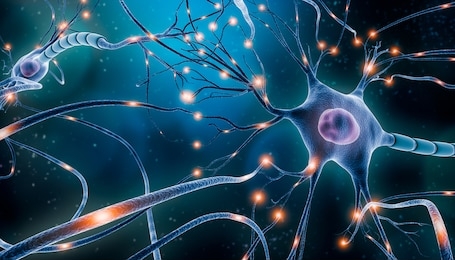 neuronal network with electrical activity of neuron cells 3d rendering illustration. neuroscience, neurology, nervous system and impulse, brain activity, microbiology concepts. artist vision.