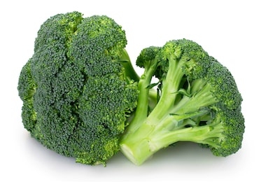 fresh broccoli isolated on white background closeup
