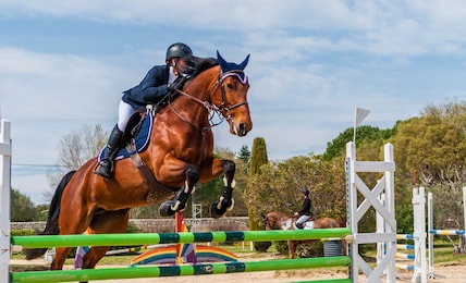 show jumping competition on horseback.