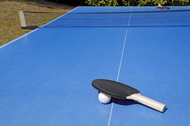          ping pong racket on blue ping pong table on green nature background                      