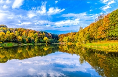 autumn forest lake water reflection. forest lake in autumn. autumn forest lake reflection landscape. autumn lake view