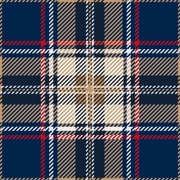 blue seamless tartan design 