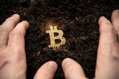 bitcoin hold concept. cryptocurrency stored in the ground - saving symbol. a man buries, hides bitcoins.