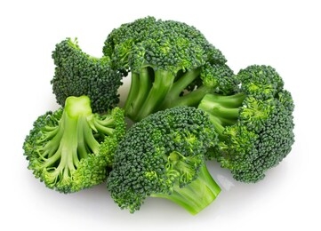 fresh broccoli isolated on white background closeup