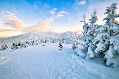the summit mountain with sunset view in the winter at aomori, japan