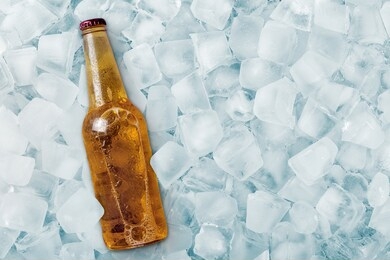 bottle of beer in ice cubes