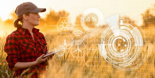 a woman farmer examines the field of cereals and sends data to the cloud from the tablet. smart farming and digital agriculture.
