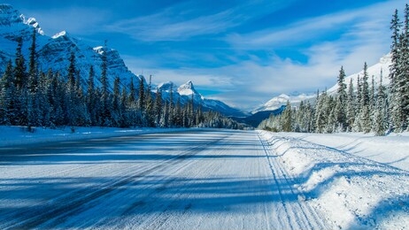 icy road with fir full of snow all along the road, canada