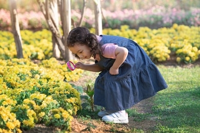 kid girl with magnifying glass explores the nature, education concept