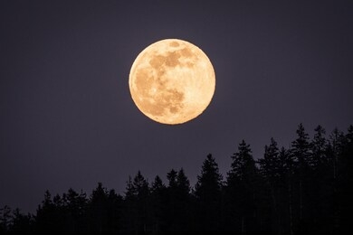 super moon - full moon in the sky