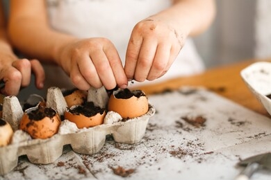 children sow seeds in pots of eggshells, children garden themselves, children siblings garden at home