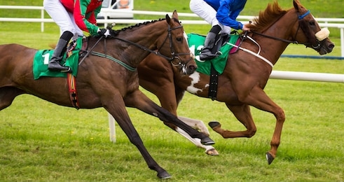 close up on two race horses and jockeys competing for position on the track
