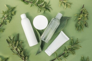 set of cosmetic products and tubes on the background of fresh green plant branches.