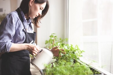 gardening home. woman replanting green pasture in home garden.indoor garden,room with plants banner potted green plants at home, home jungle,garden room,gardening, plant room, floral decor.