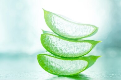 aloe vera gel in a green leaf close-up on a light background. skincare, healthcare concept. aloe fresh juice macro shot. alternative medicine, moisturizing cosmetics.
