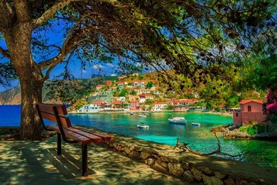 bench under a tree on a sunny day at assos beach, kefalonia, greece