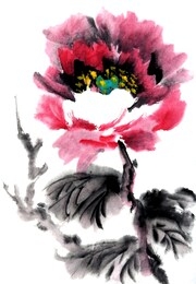 pink peony in the style of chinese painting. ink and watercolor drawing