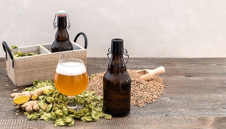 homemade craft ginger beer in a glass with dry hops and growlers on the wooden table. copy space