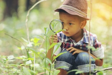 an asian boy is using a magnifying glass to look at the leaves. conceptual. knowledge about activities outside the classroom.