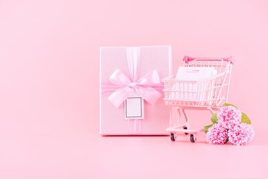 mother's day holiday gift design concept, pink carnation flower bouquet with wrapped box, shopping cart, bag, isolated on light pink background, copy space.