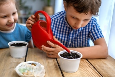 cute boy and girl are sitting at table and engaged in sowing seeds for cultivation. children sow seeds in pots with earth and water them. concept of growing your own vegetables. natural gardening.