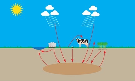 vector illustration of water oxygen cycle, online education material, background science
