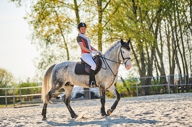 girl equestrian rider riding a beautiful horse  in the rays of the setting sun.