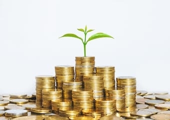 coin stack money saving concept. green leaf plant growth on rows of coin on white background. money matters tips to investment and business financial banking for financial wellness.