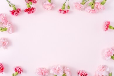 mother's day, valentine's day background design concept, beautiful pink, red carnation flower bouquet on pink table, top view, flat lay, copy space.