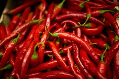 red chilli pepper. red chilli background. spicy thai chili. red chillies background,selective focus. red hot chili pepper, food ingredient
