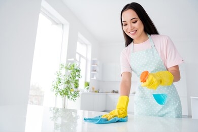 portrait of her she nice attractive hardworking cheerful cheery girl making domestic work cleansing table everyday duty in modern light white interior kitchen