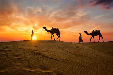 indian cameleers (camel driver) bedouin with camel silhouettes in sand dunes of thar desert on sunset. caravan in rajasthan travel tourism background safari adventure. jaisalmer, rajasthan, india