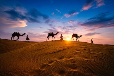 indian cameleers (camel driver) bedouin with camel silhouettes in sand dunes of thar desert on sunset. caravan in rajasthan travel tourism background safari adventure. jaisalmer, rajasthan, india