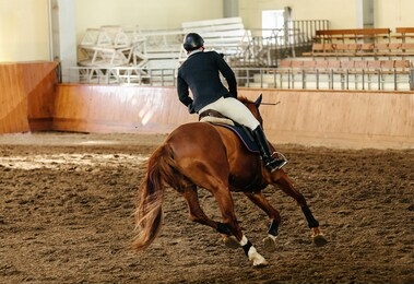 back horseman on horse bay color riding indoors arena