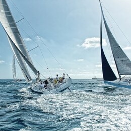 crews sailing yachts at a sports regatta