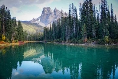 beautiful view of mount burgess at emerald lake, in british columbia. clear turquoise water reflect the snow-capped mountain, tall pine trees that line the shore and white clouds in a blue sky.