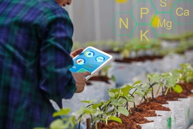 smart farm, farmer using tablet computer control the drip irrigation system and minerals for plants in green house