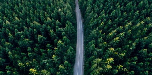 top view of dark green forest landscape wallpaper art. aerial nature scene of pine trees and asphalt road banner design. countryside path trough coniferous wood form above. adventure travel background