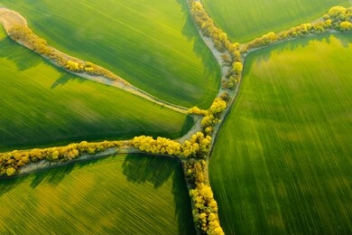 abstraction agricultural area and green wavy fields in sunny day. aerial photography, top view drone shot. location place of ukrainian agrarian region, europe. artistic wallpaper. beauty of earth.
